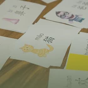 Language Lessons program at Simba Education Sydney